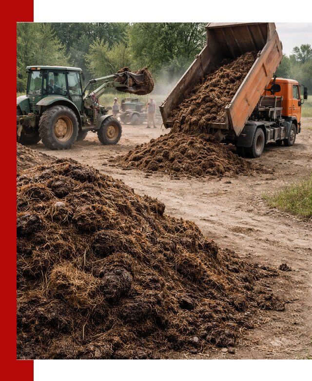 Доставка навоза самосвалами в Кирове для сельхозпотребностей